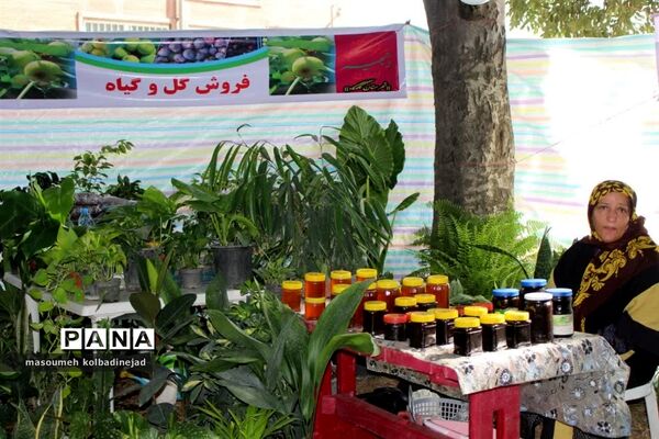 نمایشگاه انجیر، محصولات باغی و صنایع دستی در گلوگاه