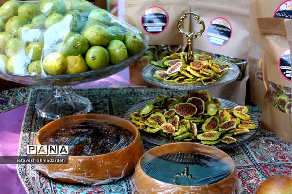 نمایشگاه انجیر، محصولات باغی و صنایع دستی در گلوگاه