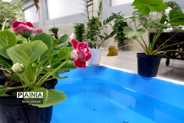برپایی نمایشگاه گل و گیاه در فرهنگسرای بعثت صفادشت