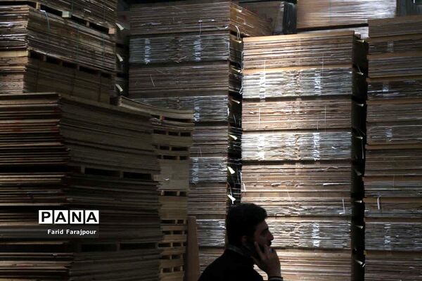 بازدید خبرنگاران از ظرفیت‌های منطقه آزاد ارس
