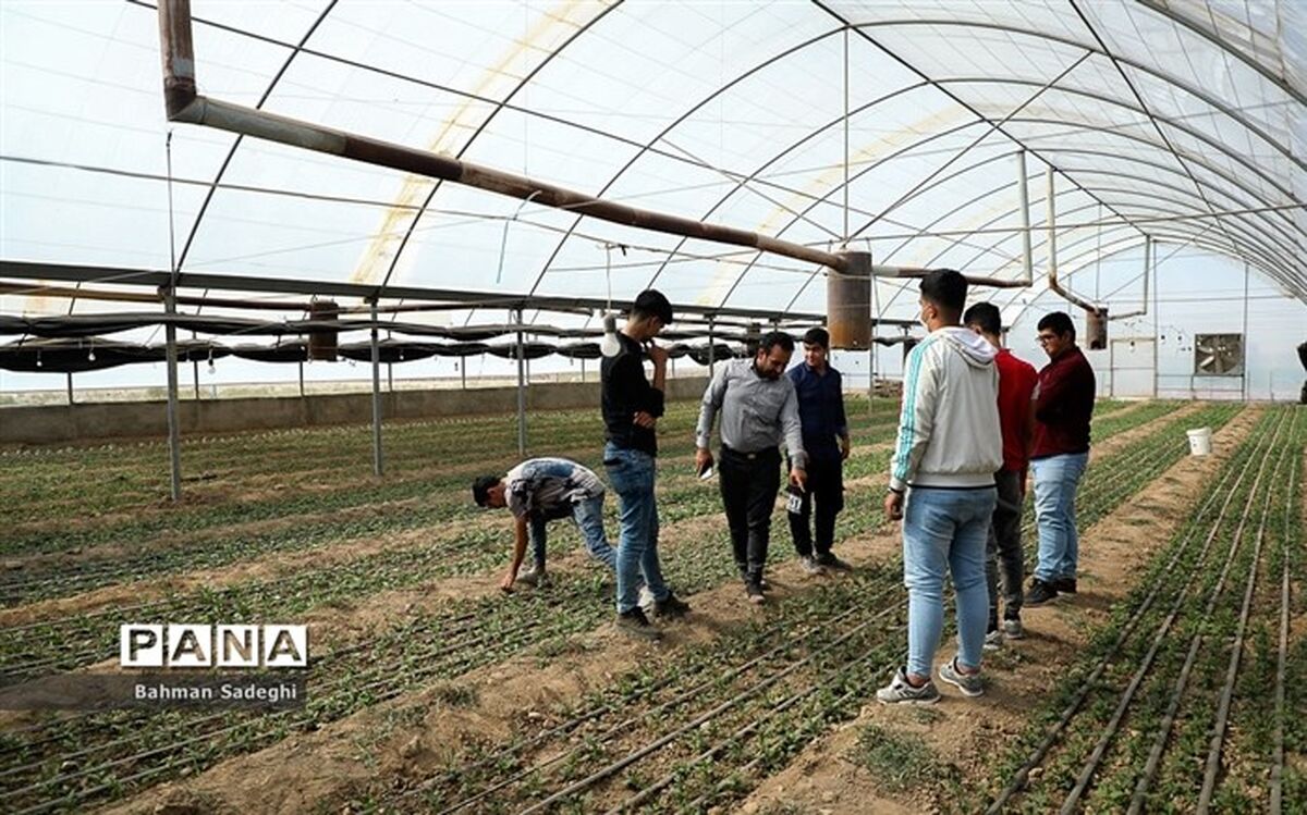 ١٧۵ میلیون دلار با فناوری‌های نوین در بخش کشاورزی صرفه‌جویی می‌شود