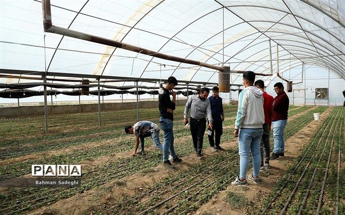 آموزش رشته‌های کشاورزی در ۶۷۹ هنرستان کشور