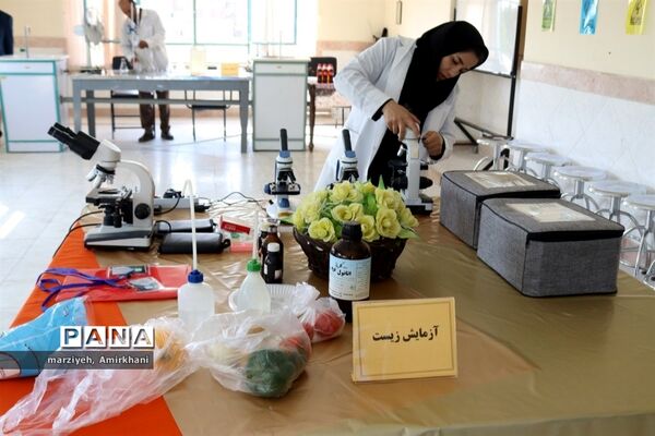 دانش‌آموزان امروز، تحلیل‌گران فردا