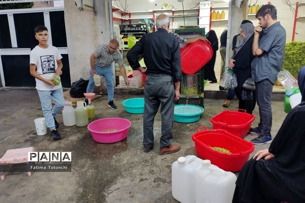 فصل آبغوره‌گیری در شیراز