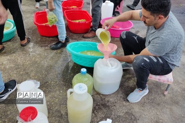 فصل آبغوره‌گیری در شیراز