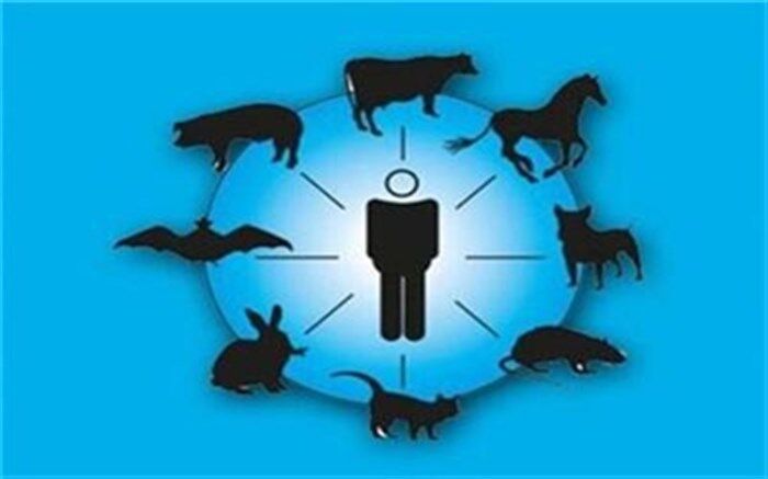زئونوز بیماری‌های مشترک بین انسان و حیوان را جدی بگیریم