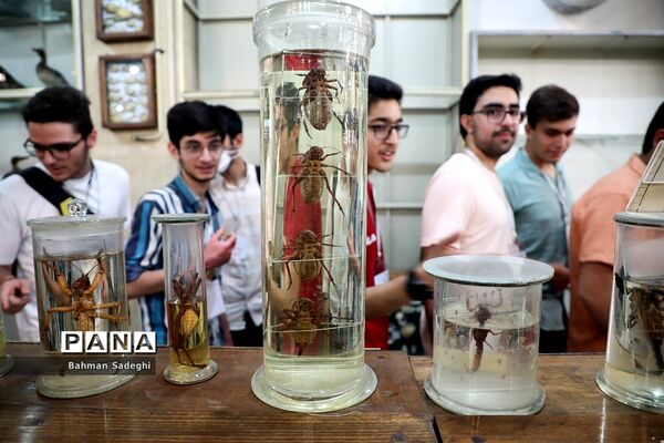 هفتمین دوره روزی با دانشگاه تهران