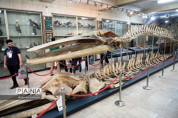 هفتمین دوره روزی با دانشگاه تهران