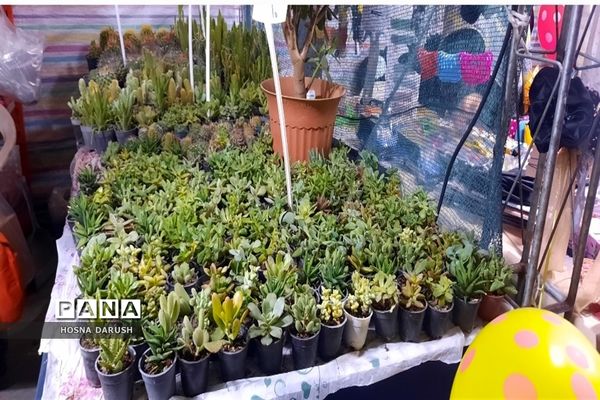 بازید معاون استاندار و  فرماندار شهر  مشهد از نمایشگاه دست آوردهای طهورا