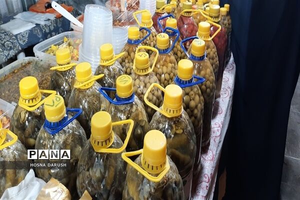 بازید معاون استاندار و  فرماندار شهر  مشهد از نمایشگاه دست آوردهای طهورا