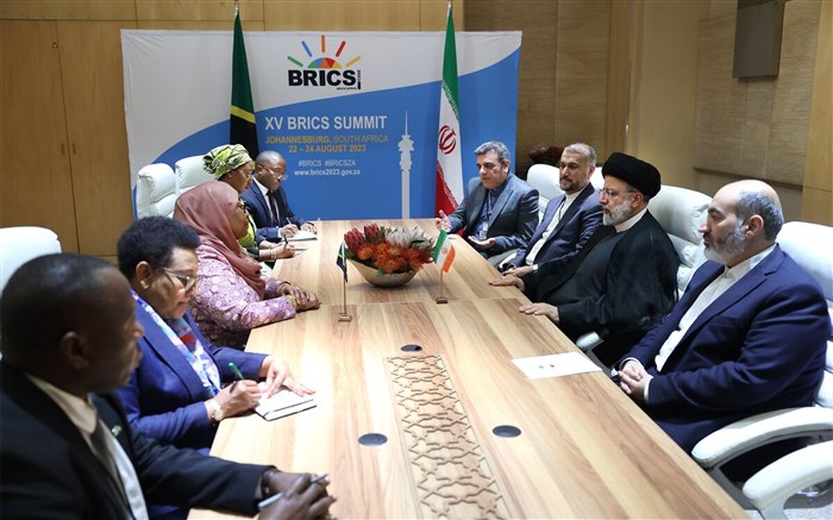 آیت الله رئیسی با رئیس‌جمهور تانزانیا دیدار کرد