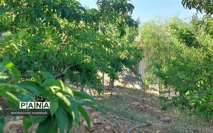 تغییر کاربری باغات، خط قرمز این اداره کل  است