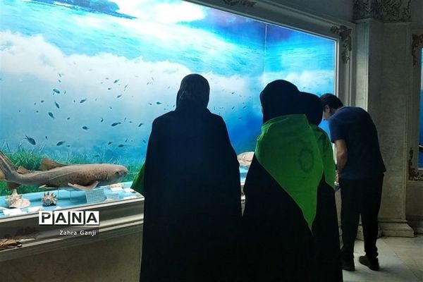 بازدید دانش‌آموزان زیارت اولی استان فارس از موزه رضوی