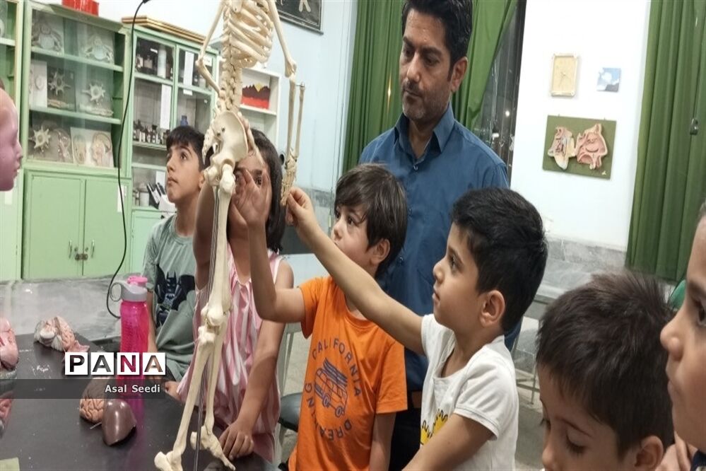 برگزاری جشنواره دانشمند کوچک درکاشمر