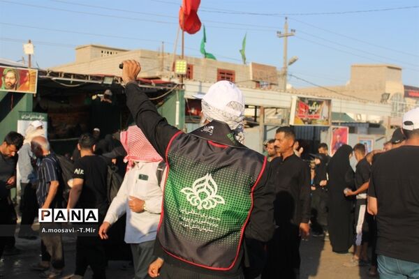 مسیر نجف تا کربلا مملو از عاشقان حسین