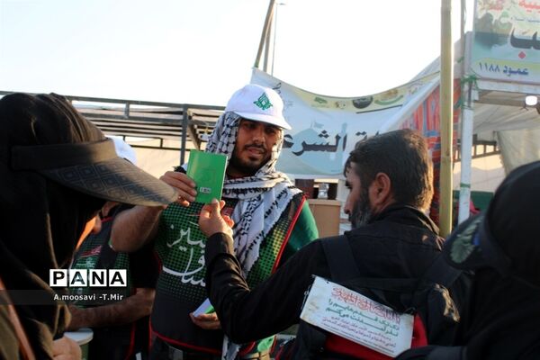 مسیر نجف تا کربلا مملو از عاشقان حسین