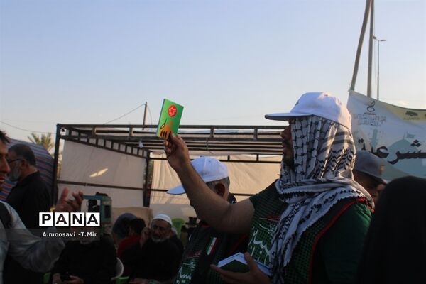 مسیر نجف تا کربلا مملو از عاشقان حسین