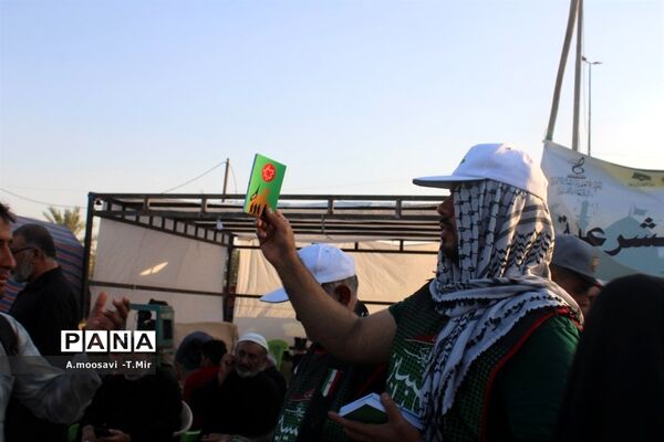 مسیر نجف تا کربلا مملو از عاشقان حسین