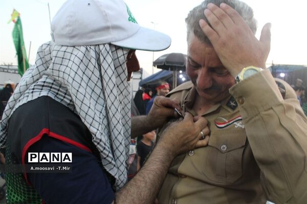 مسیر نجف تا کربلا مملو از عاشقان حسین