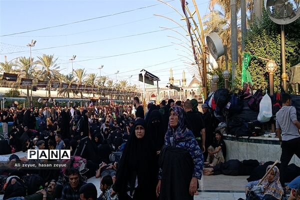 کربلای معلی در اربعین ۱۴۰۲ با حضور پر شور زائران امام حسین (ع)