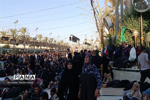 کربلای معلی در اربعین ۱۴۰۲ با حضور پر شور زائران امام حسین (ع)