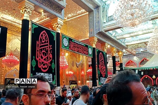 کربلای معلی در اربعین ۱۴۰۲ با حضور پر شور زائران امام حسین (ع)