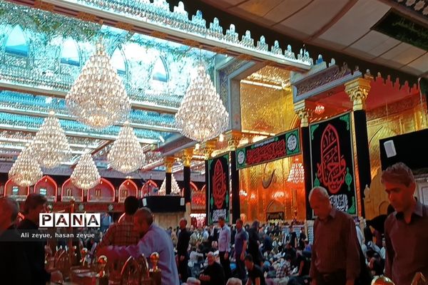کربلای معلی در اربعین ۱۴۰۲ با حضور پر شور زائران امام حسین (ع)