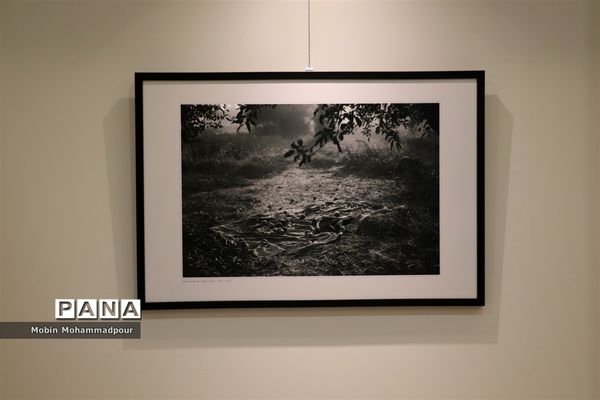 نمایشگاه عکس گروهی عکاسان تبریزی