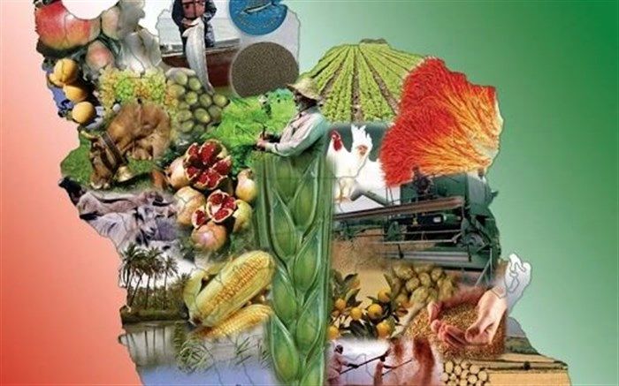 اختصاص تا 16 میلیارد دلار برای واردات 20 درصد از نیاز غذایی مردم