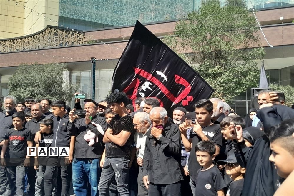 پیاده‌روی جاماندگان اربعین حسینی به سمت حرم مطهر امام رضا (ع)