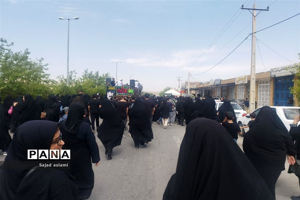 پیاده‌روی دلدادگان حسینی شهرستان اقلید