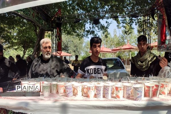 مراسم پیاده‌روی حرم تا حرم دلداگان حسینی در قائمشهر