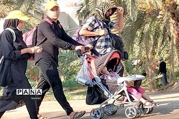 پیاده‌روی از مسیر العلما تا کربلای معلی