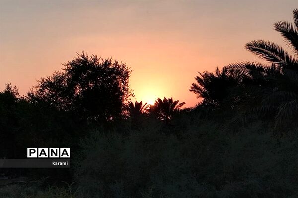 پیاده‌روی از مسیر العلما تا کربلای معلی