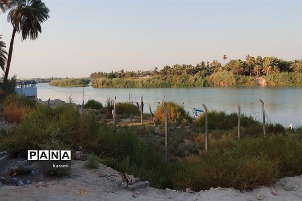 پیاده‌روی از مسیر العلما تا کربلای معلی