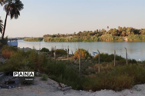 پیاده‌روی از مسیر العلما تا کربلای معلی