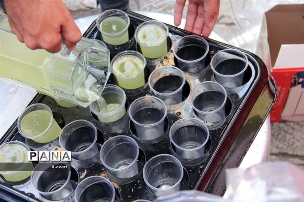 برگزاری مراسم پیاده‌روی اربعین حسینی  از حرم تا حرم