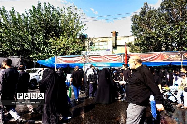 قدم قدم تا دلدادگی به آستان مطهر و نورانی  جاماندگان اربعین حسینی