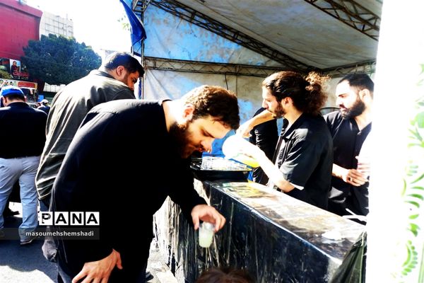 قدم قدم تا دلدادگی به آستان مطهر و نورانی  جاماندگان اربعین حسینی