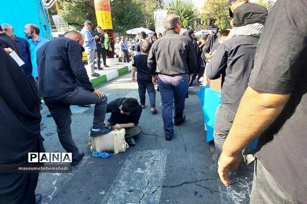 قدم قدم تا دلدادگی به آستان مطهر و نورانی  جاماندگان اربعین حسینی