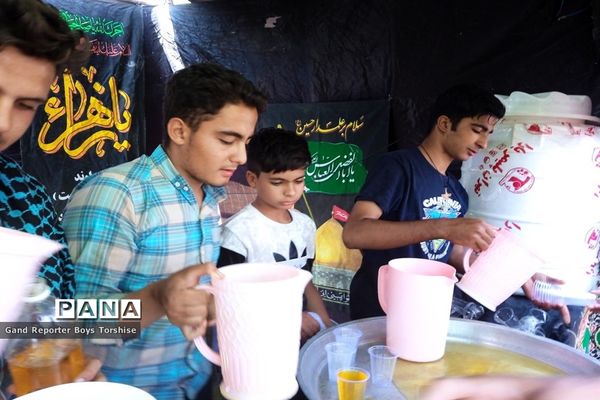 مراسم پیاده‌روی حرم تا حرم در کاشمر