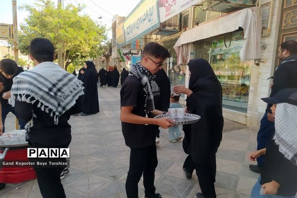 مراسم پیاده‌روی حرم تا حرم در کاشمر