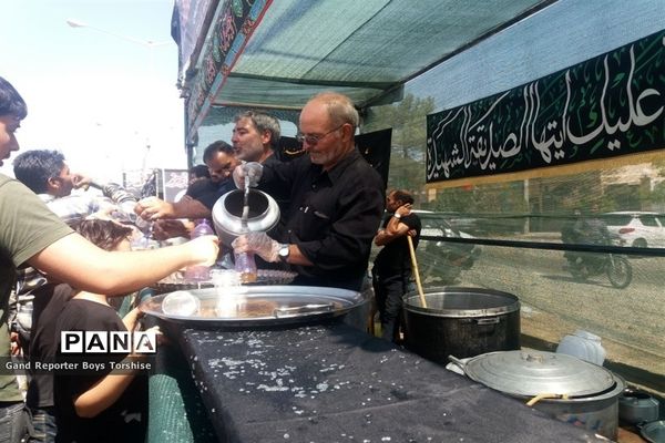 مراسم پیاده‌روی حرم تا حرم در کاشمر