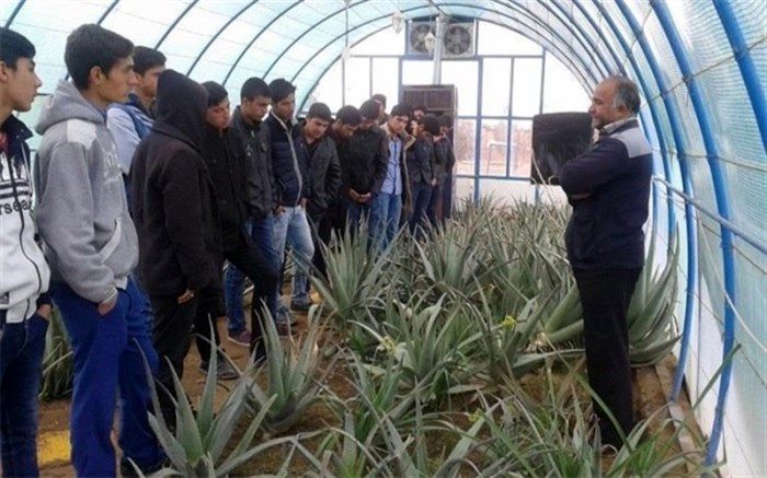 لزوم اعطای وام به فارغ‌التحصیلان کشاورزی