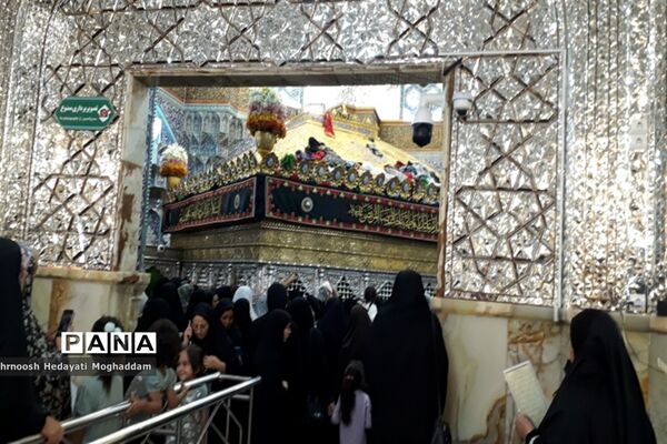 حال و هوای حرم حضرت معصومه(س) در ایام اربعین حسینی