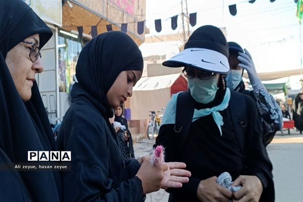 پیاده‌روی زائران اربعین حسینی در مسیر عاشقی