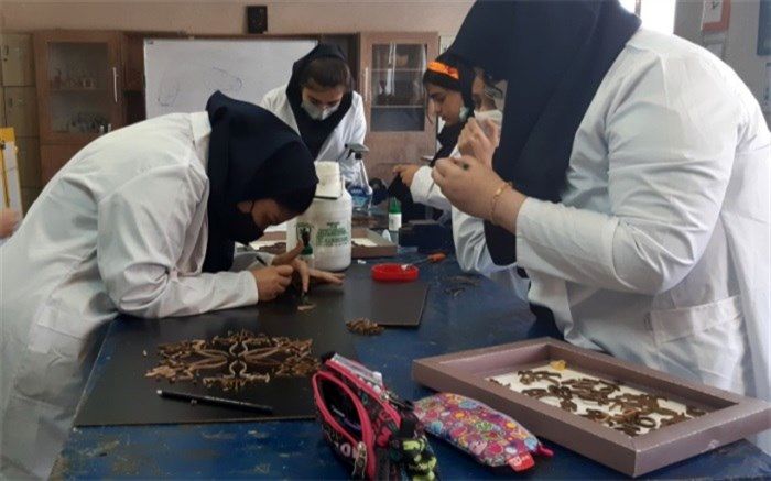 هنرمندان با تحصیل هنر می‌توانند به پیشرفت کشور کمک کنند