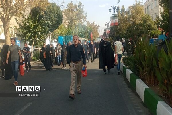پیاده‌روی جاماندگان اربعین حسینی
