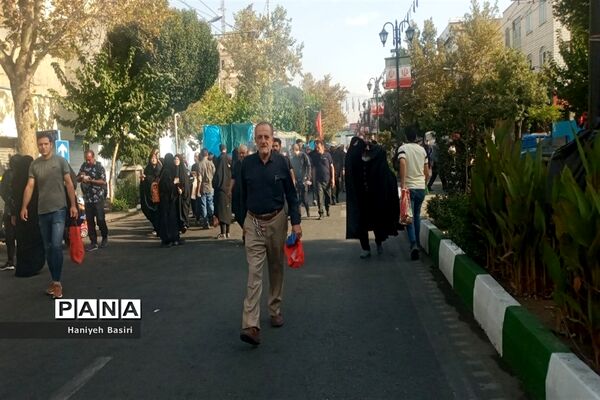 پیاده‌روی جاماندگان اربعین حسینی