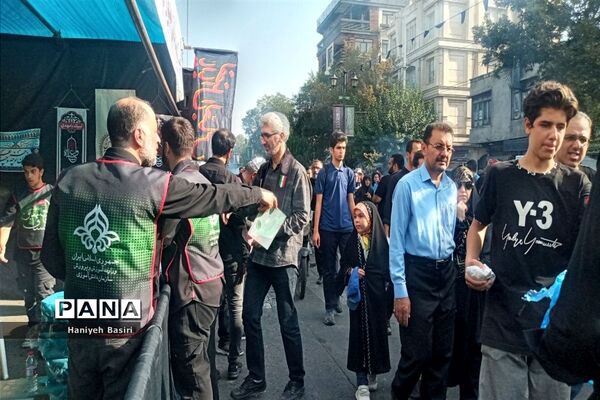 پیاده‌روی جاماندگان اربعین حسینی